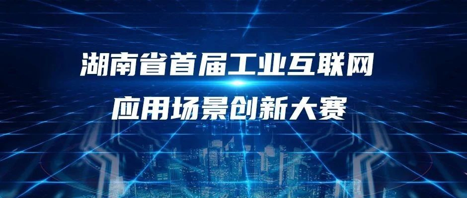 首届！树根格致，冠军！